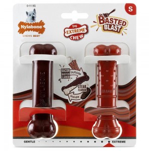 Nylabone Bacon & Steak Basted Bone Twin Pack – Small Extreme Chews Toys USA | BJKRO-0482