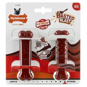 Nylabone Bacon & Steak Basted Bone Twin Pack – X-Small Extreme Chews Toys USA | KYTZJ-9738