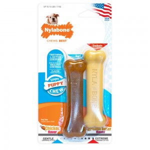 Nylabone Classic Flavored Durable Puppy Chew Toys USA | VYCGA-5782