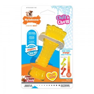 Nylabone Freezer Bone Puppy Chew Toys USA | TZBNA-3180