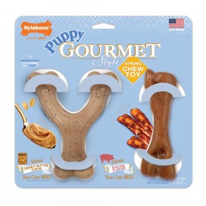 Nylabone Gourmet Style Twin Pack Puppy Chew Toys USA | HRUQW-4179