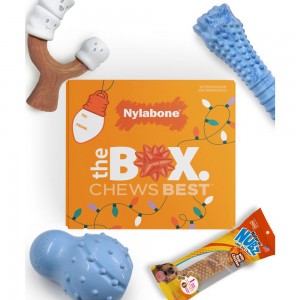 Nylabone Holiday Box - Large & Treat Gift Box Strong Chew Toys For Dogs USA | EHUSA-8436