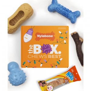 Nylabone Holiday Box - Small & Treat Gift Box Strong Chew Toys For Dogs USA | ULVNR-0342