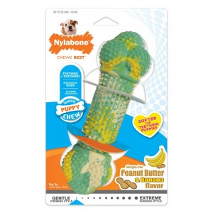 Nylabone Just for Puppies Double Action Bone Teething Puppy Chew Toys USA | UXLPG-0638