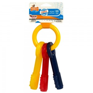 Nylabone Just for Puppies Teething Keys Puppy Chew Toys USA | DPECR-4879