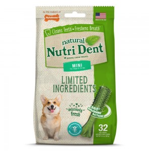 Nylabone Nutri Dent Fresh Breath Flavored Dental Dog Chew Treats USA | OXNPV-0745