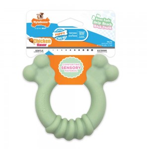 Nylabone Sensory Material Teething Ring Puppy Chew Toys USA | FNGPQ-1834