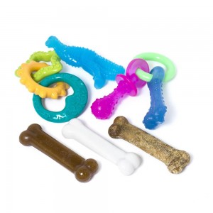 Nylabone Starter Pack with, Teething Kit and Treat Puppy Chew Toys USA | OHMNP-9513