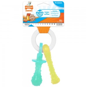 Nylabone Teething Pacifier Puppy Chew Toys USA | NILEF-4628