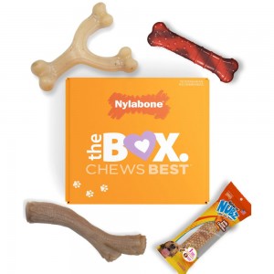 Nylabone The Box - & Treat Gift Box Strong Chew Toys For Dogs USA | RQJOK-1642