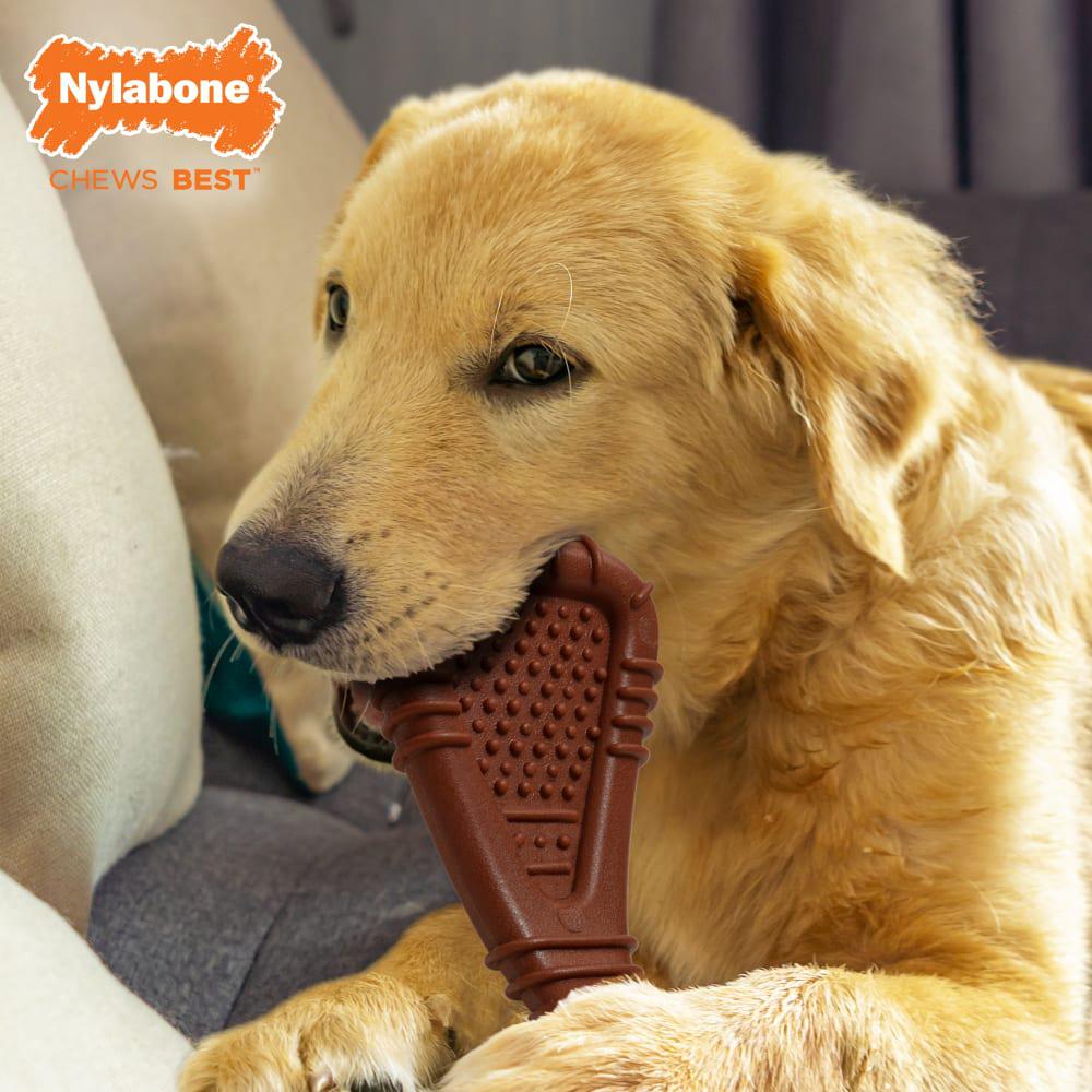 Nylabone Arch Bone Dental Power Chew Toys  USA |  JTOCZ-9871