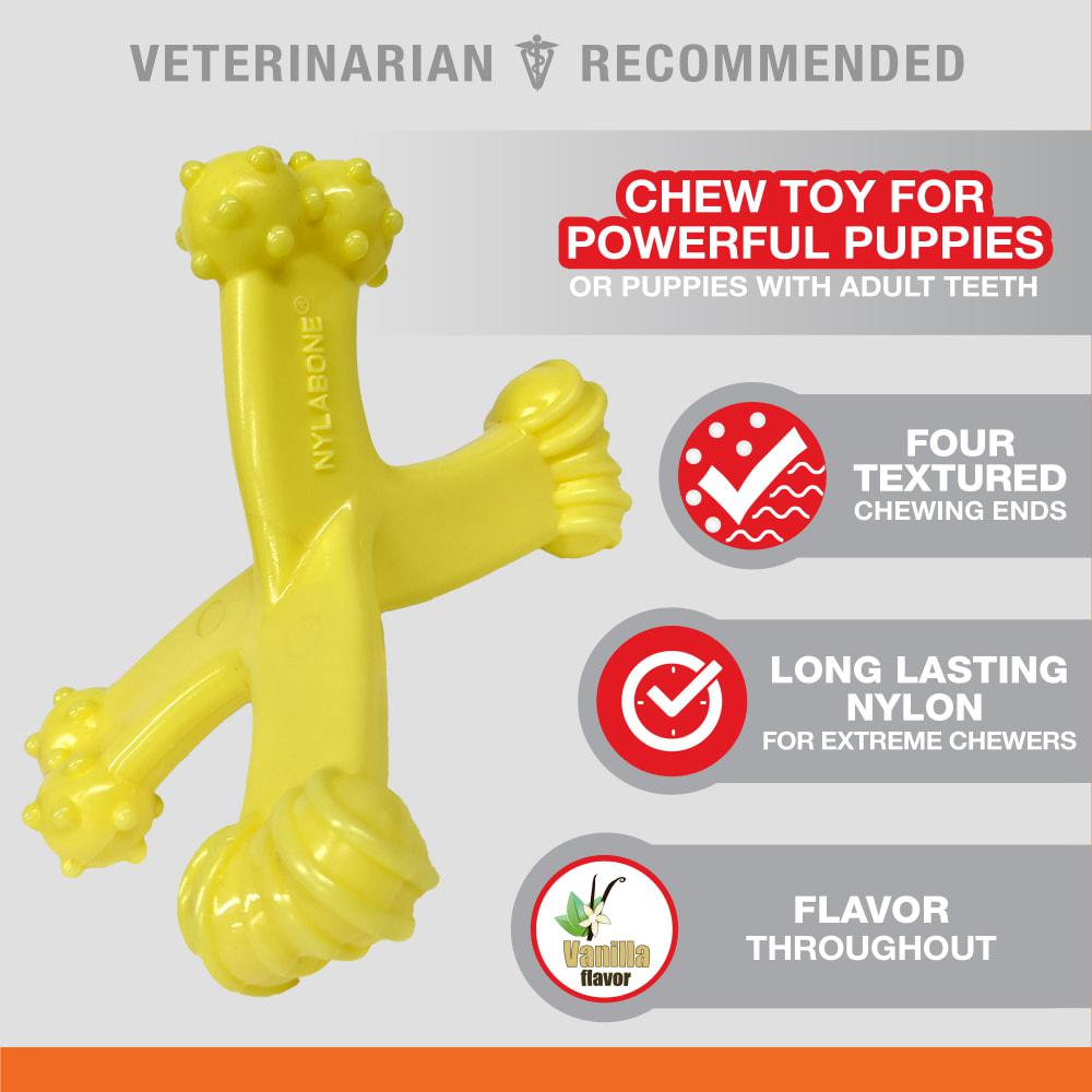 Nylabone Axis Bone Nylon Puppy Chew Toys  USA |  NRZWO-2958