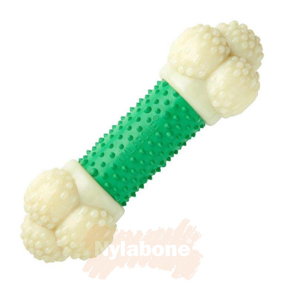 Nylabone Bacon Double Action – Medium Extreme Chews Toys  USA |  HFLWD-3407