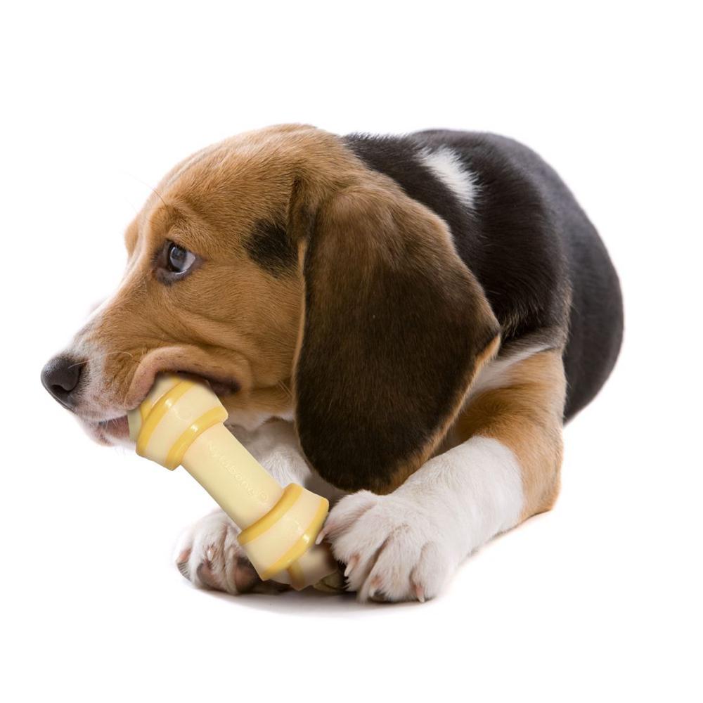 Nylabone Bacon with Cheese Knot Bone – Medium Extreme Chews Toys  USA |  DQZWU-5709