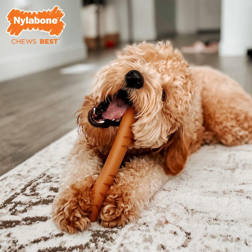 Nylabone Baguette Power Chew Toys  USA |  TXPZY-3058