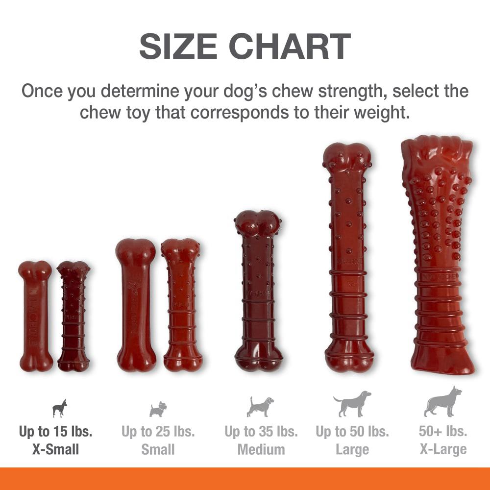 Nylabone Basted Blast Original & Textured Bone Power Chew Toys  USA |  QTFPY-5791