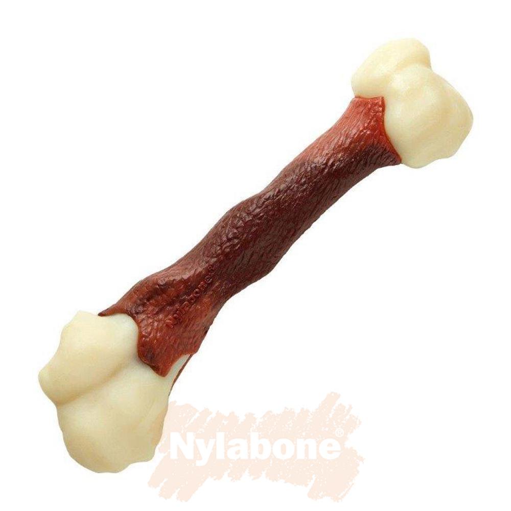 Nylabone Beef Femur Bone – X-Large Extreme Chews Toys  USA |  AZVBE-8270