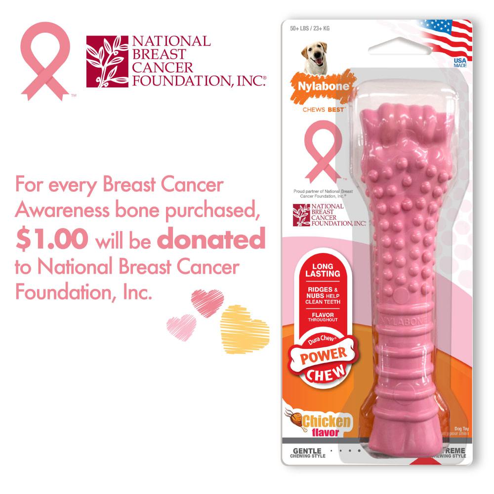 Nylabone Breast Cancer Awareness Textured Knuckle Bone Power Chew Toys  USA |  OVIZG-4518