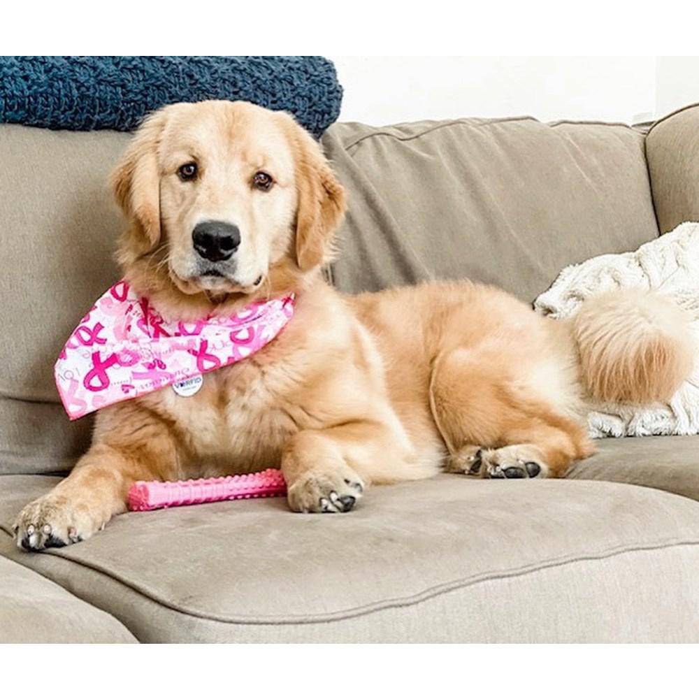 Nylabone Breast Cancer Awareness Textured Knuckle Bone Power Chew Toys  USA |  OVIZG-4518