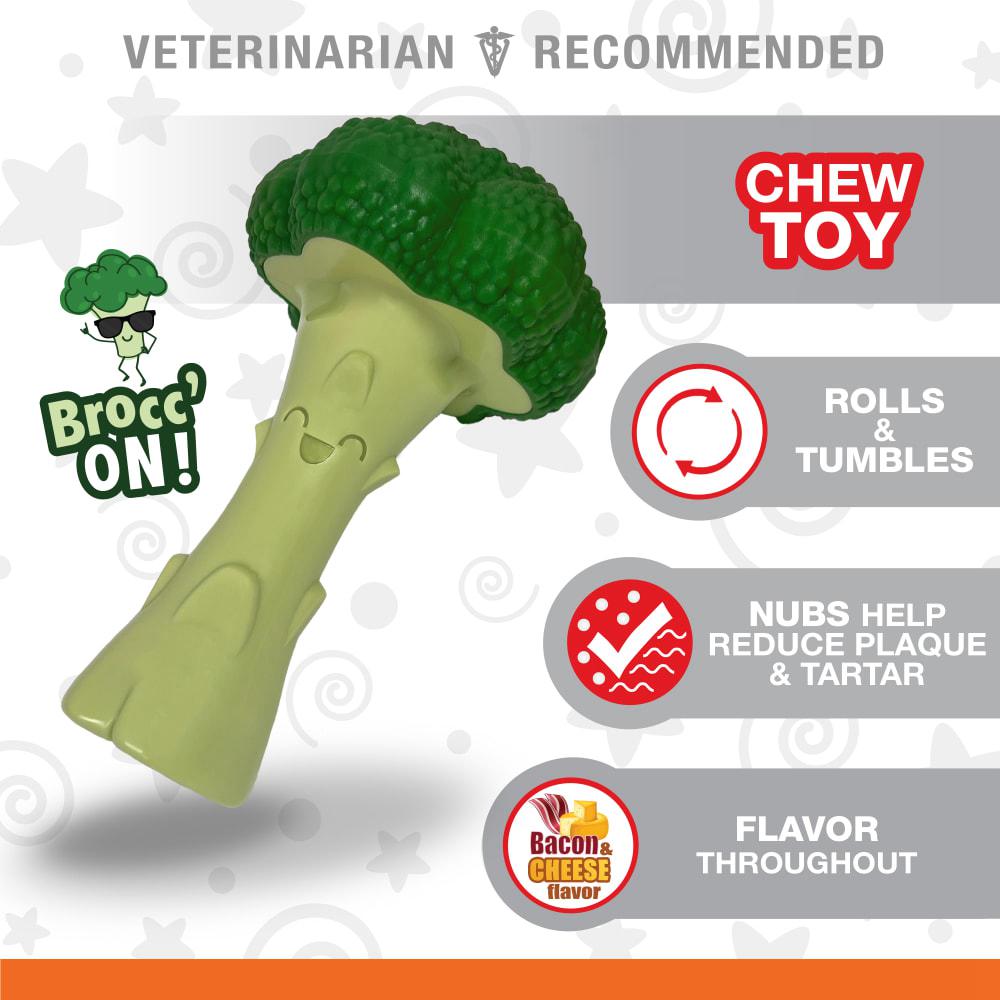 Nylabone Broccoli Power Chew Toys  USA |  LVPGO-6850