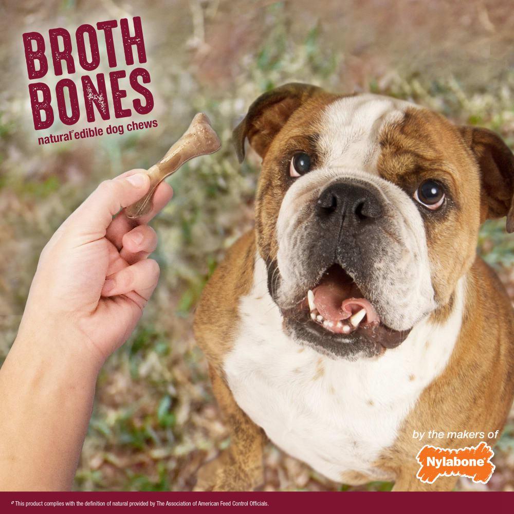 Nylabone Broth Bones Dog Chew Treats  USA |  LPYCT-2396