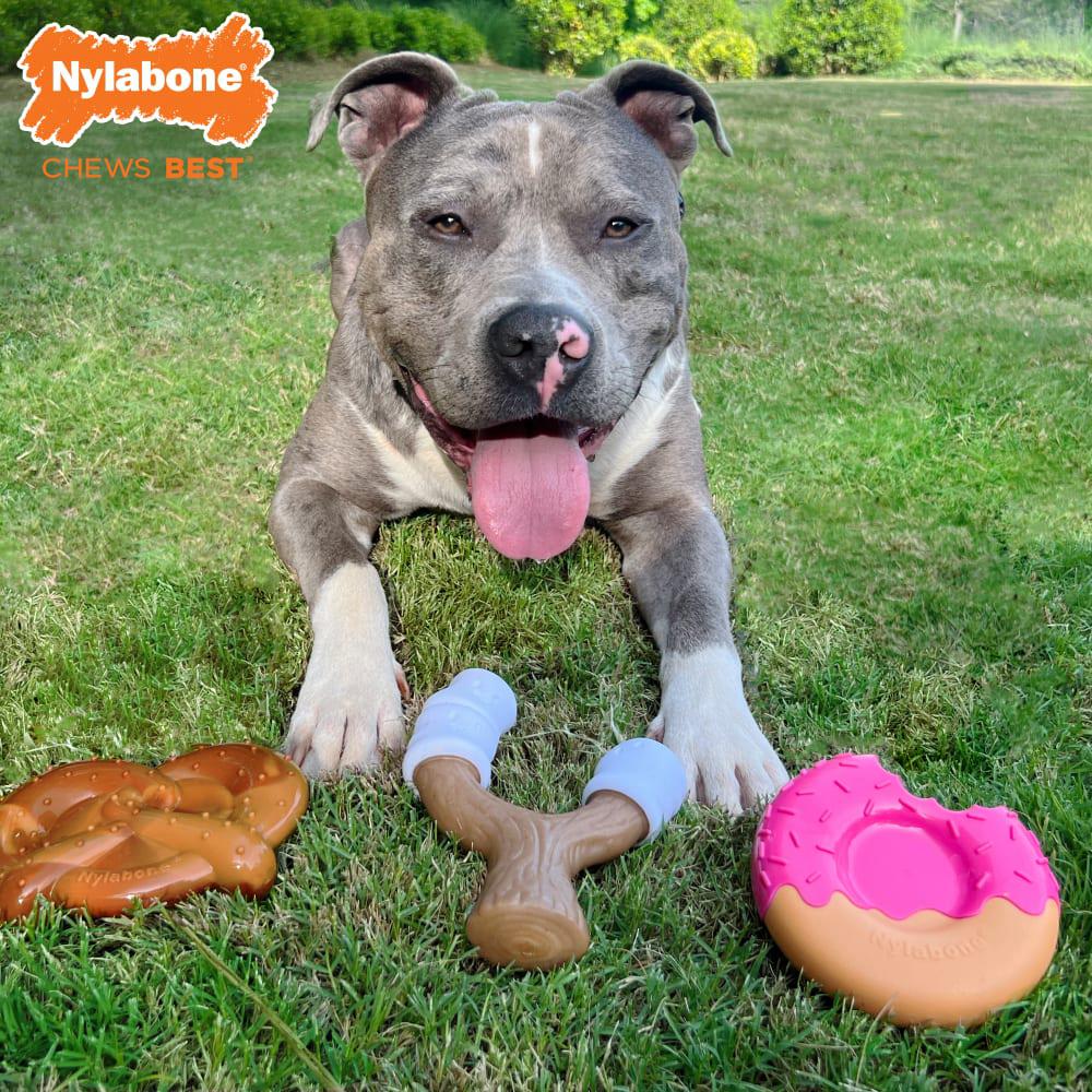 Nylabone Bundle Power Chew Toys  USA |  MTBSZ-0264