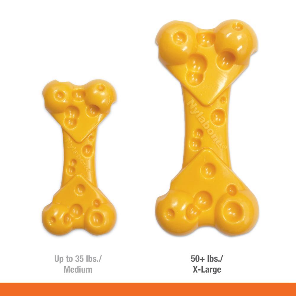 Nylabone Cheese Power Chew Toys  USA |  ZTFBI-4163