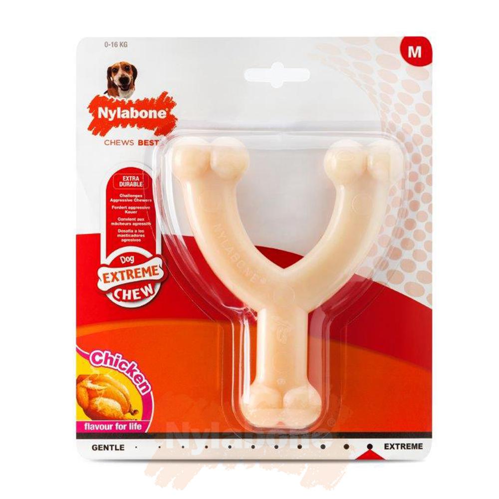 Nylabone Chicken Wishbone – Medium Extreme Chews Toys  USA |  NQTFS-5807