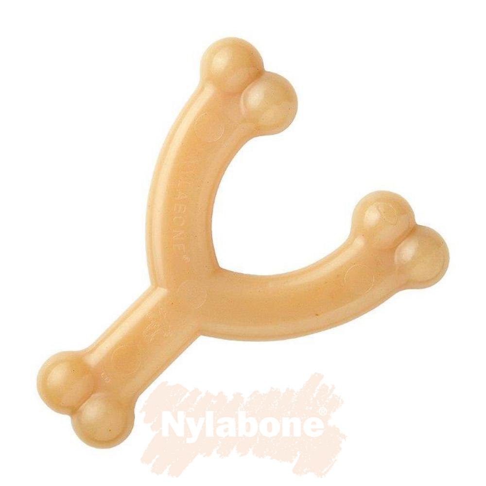 Nylabone Chicken Wishbone – Medium Extreme Chews Toys  USA |  NQTFS-5807