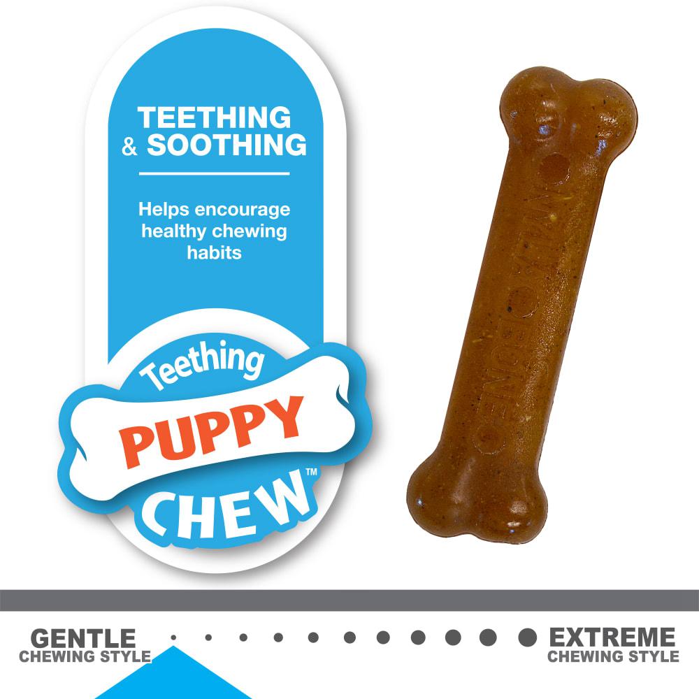 Nylabone Classic Flavored Durable Puppy Chew Toys  USA |  VYCGA-5782