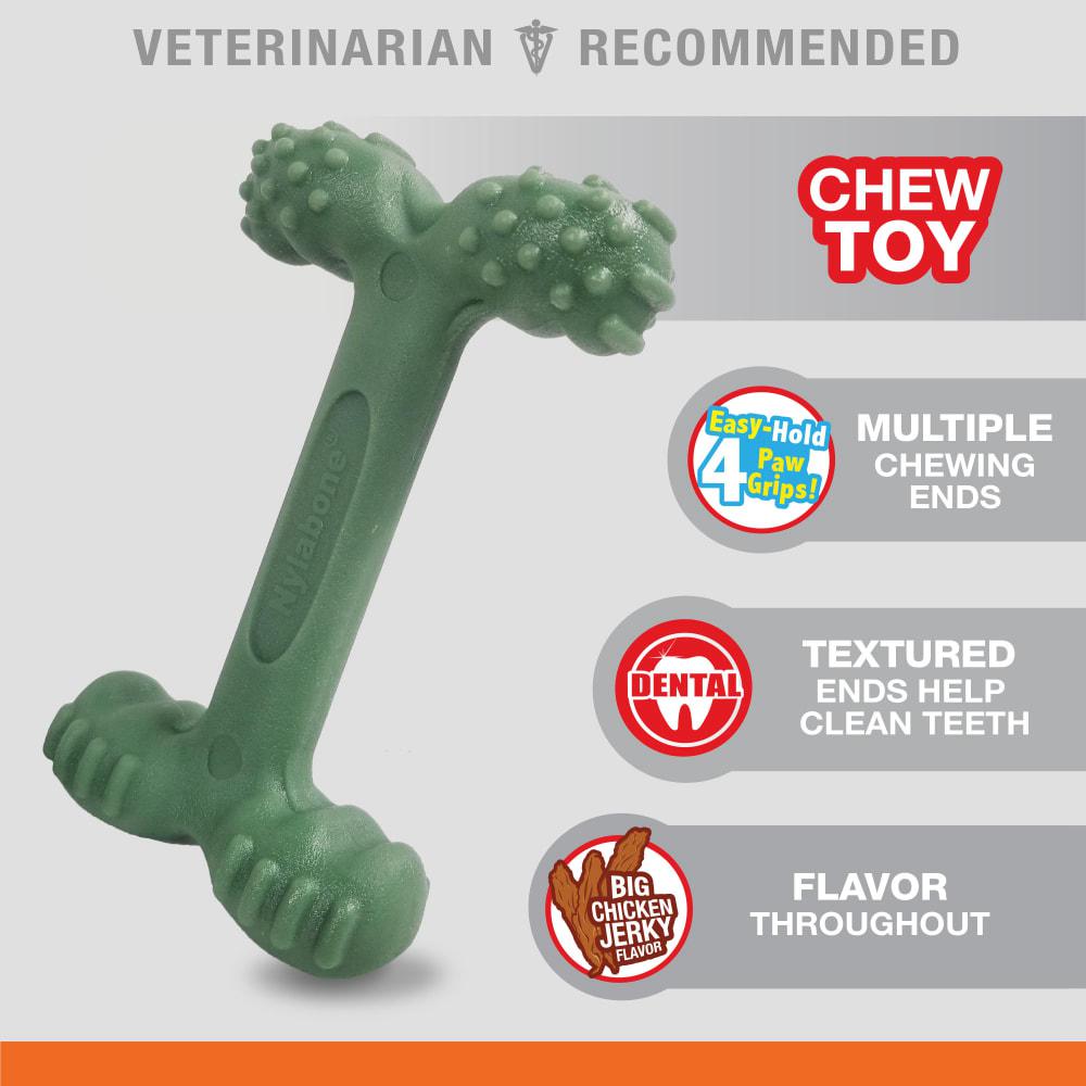 Nylabone Comfort-Hold Dental Power Chew Toys  USA |  NGEFH-1046