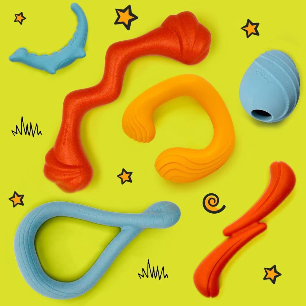 Nylabone Creative Play C-Shuu and Stik-Go Interactives Bundle Interactive Dog Play Toys  USA |  AQYIG-1654