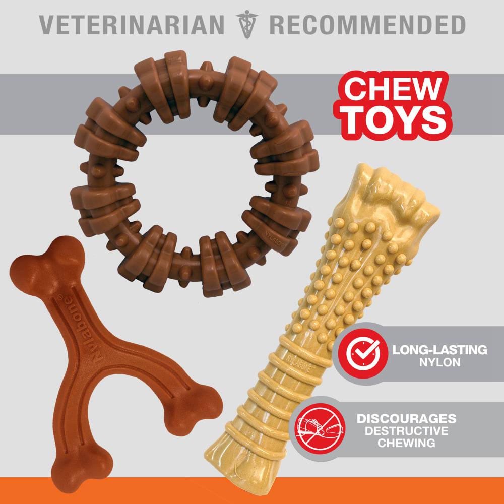 Nylabone Customer Favorites Bundle Power Chew Toys  USA |  HOXYW-4693