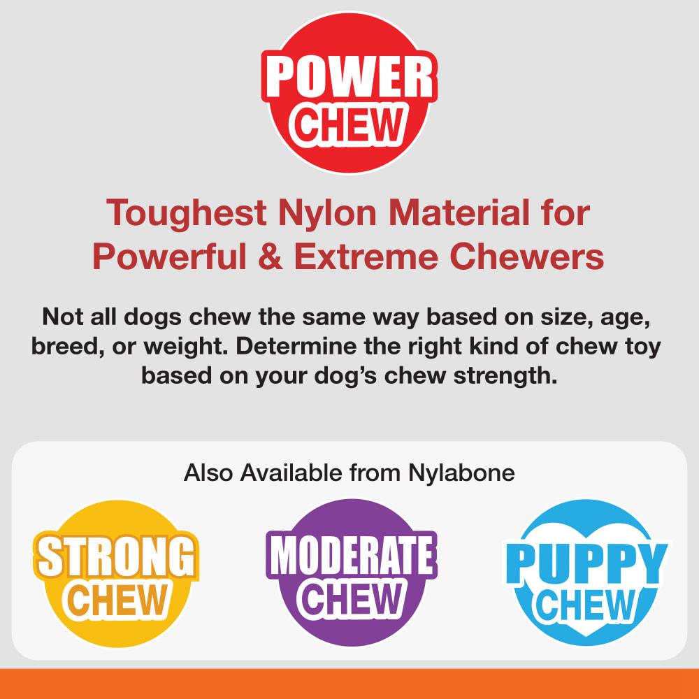 Nylabone Daily Dental Chicken Power Power Chew Toys  USA |  PIGSC-3954