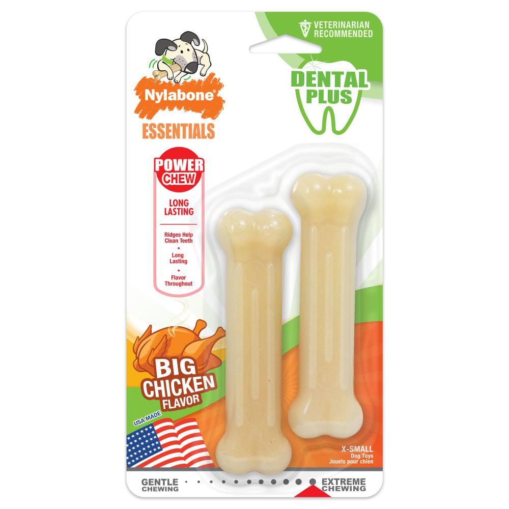 Nylabone Daily Dental Chicken Power Power Chew Toys  USA |  PIGSC-3954