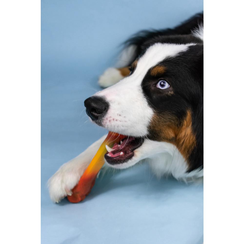 Nylabone Dental Bone Power Chew Toys  USA |  OFSAE-9708