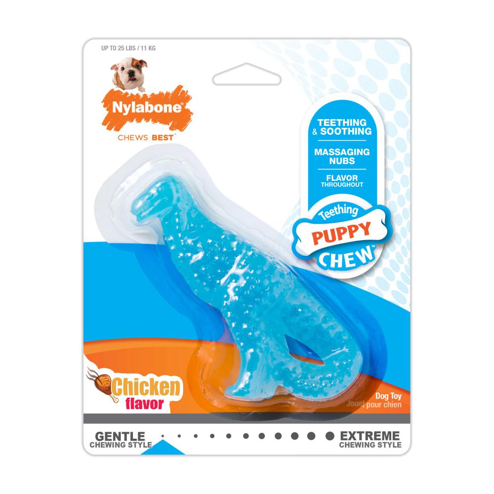 Nylabone Dental Dinosaur for Teething Puppies Puppy Chew Toys  USA |  IATBS-3417