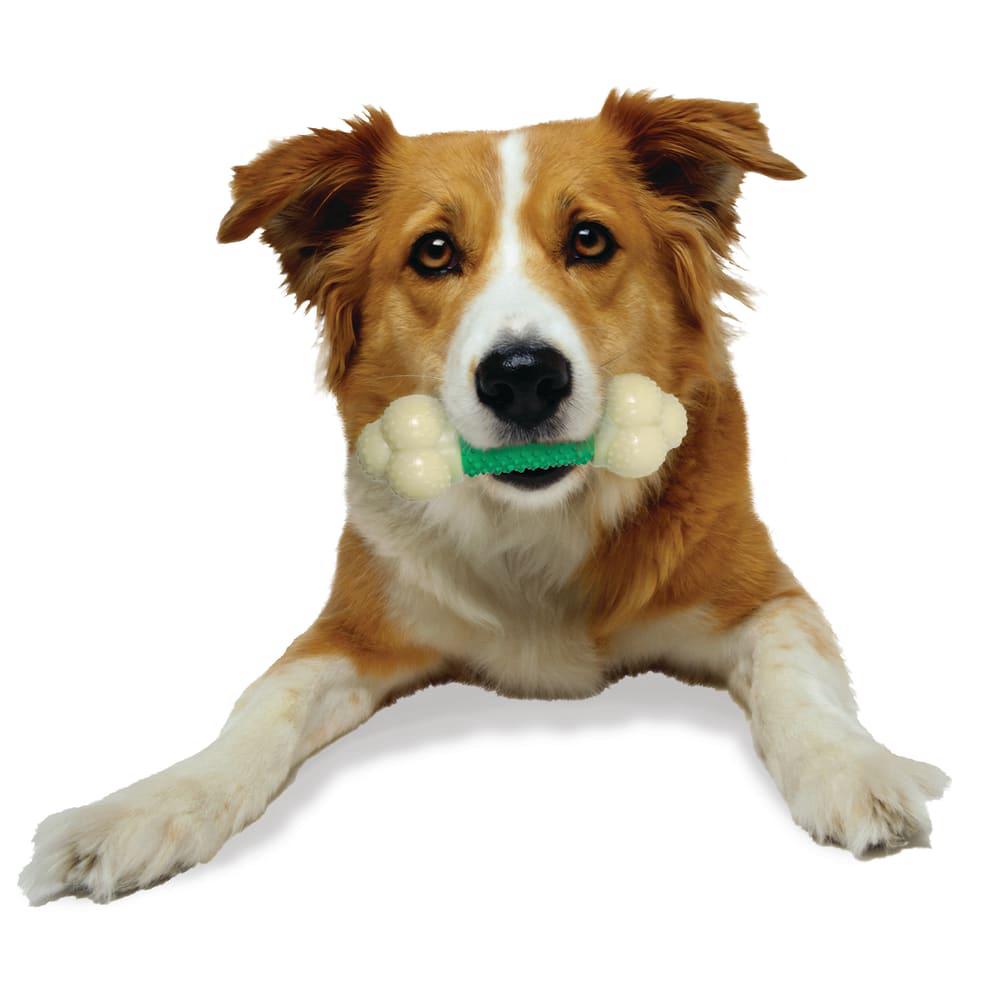 Nylabone Double Action Durable Power Chew Toys  USA |  UPYTF-4570