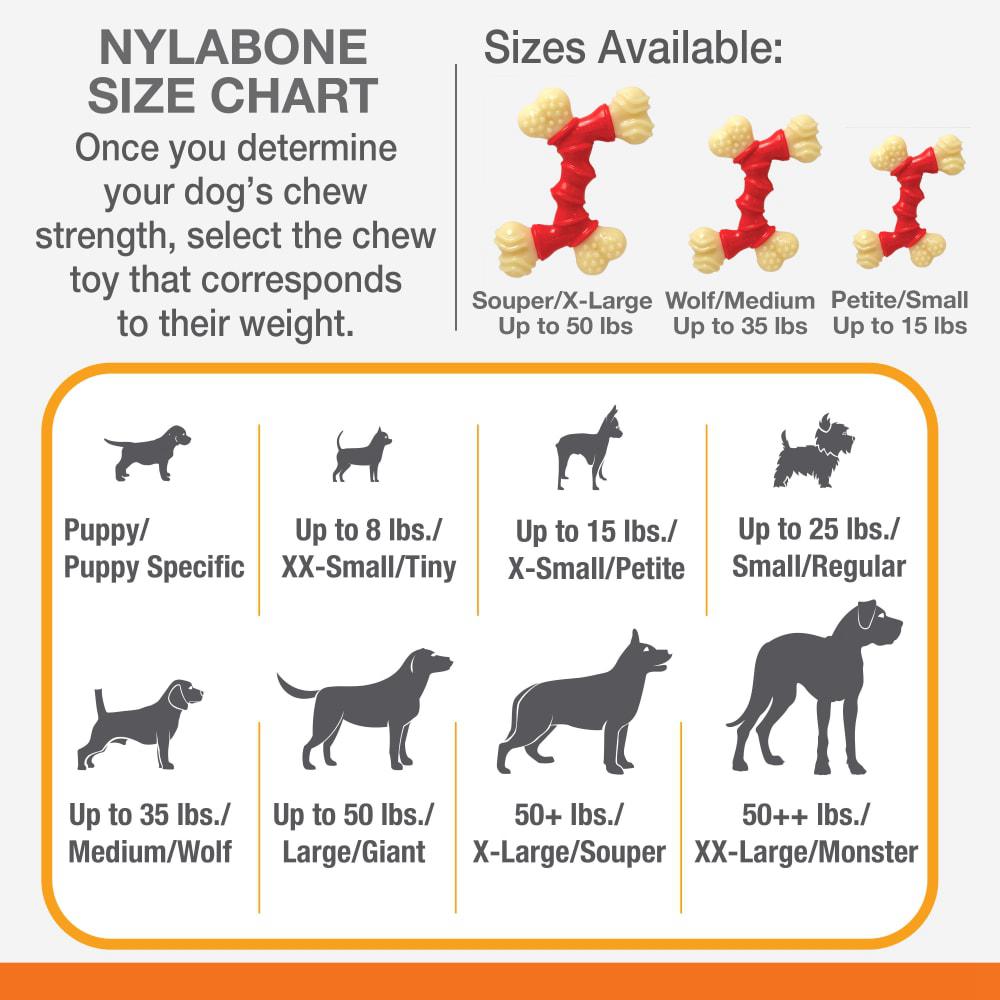 Nylabone Double Bone Bacon Power Chew Toys  USA |  NPIQC-6247