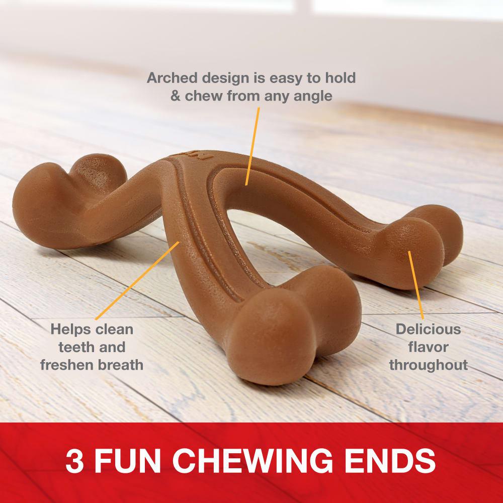 Nylabone Ergonomic Hold & Wishbone Durable Power Chew Toys  USA |  UNZEV-7195