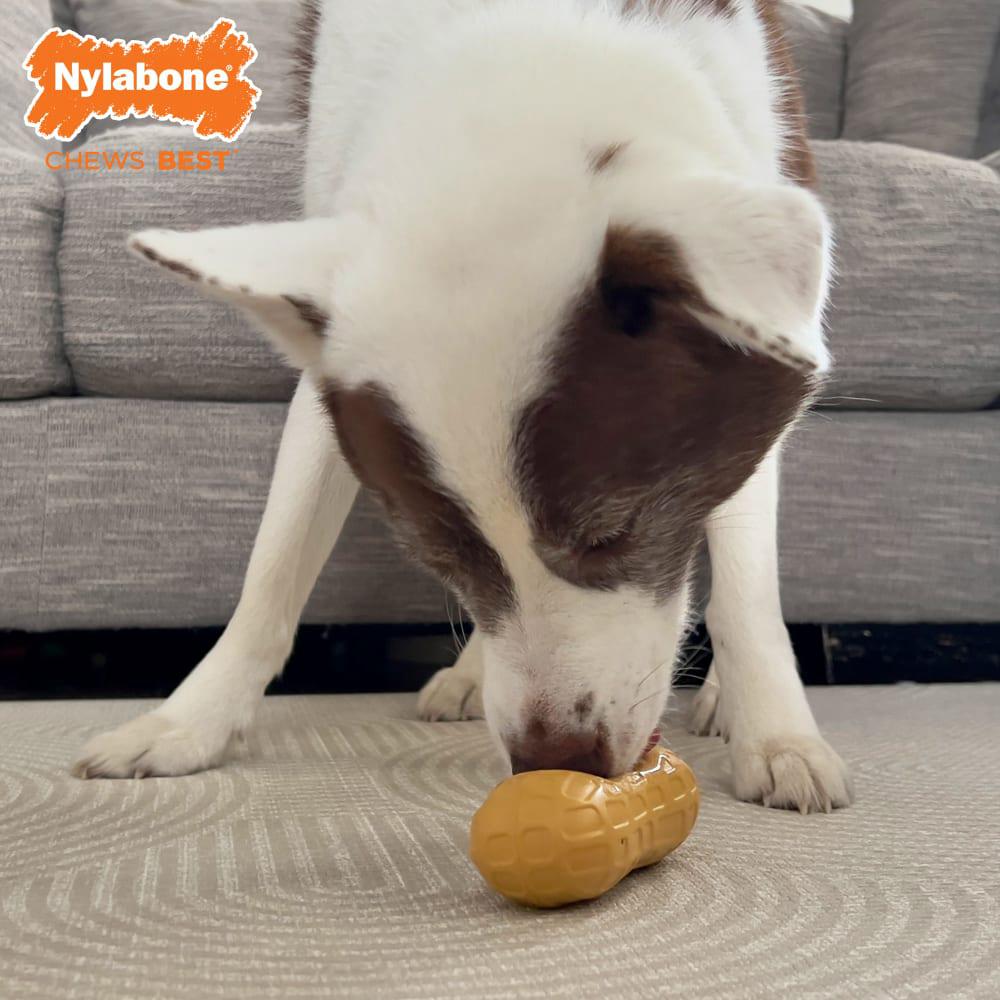 Nylabone Fillable Peanut Dog Treat Toys  USA |  UBFVT-0182