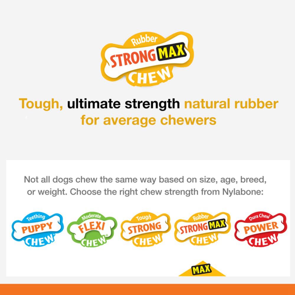 Nylabone Flavor Frenzy Strong Strong Chew Toys For Dogs  USA |  PUITQ-2781