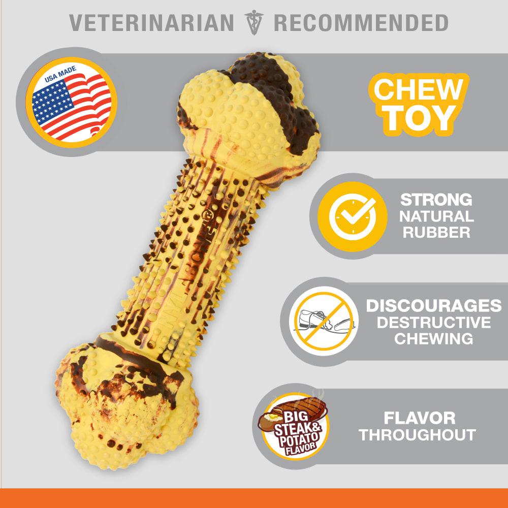 Nylabone Flavor Fun Strong Strong Chew Toys For Dogs  USA |  URMPK-7419