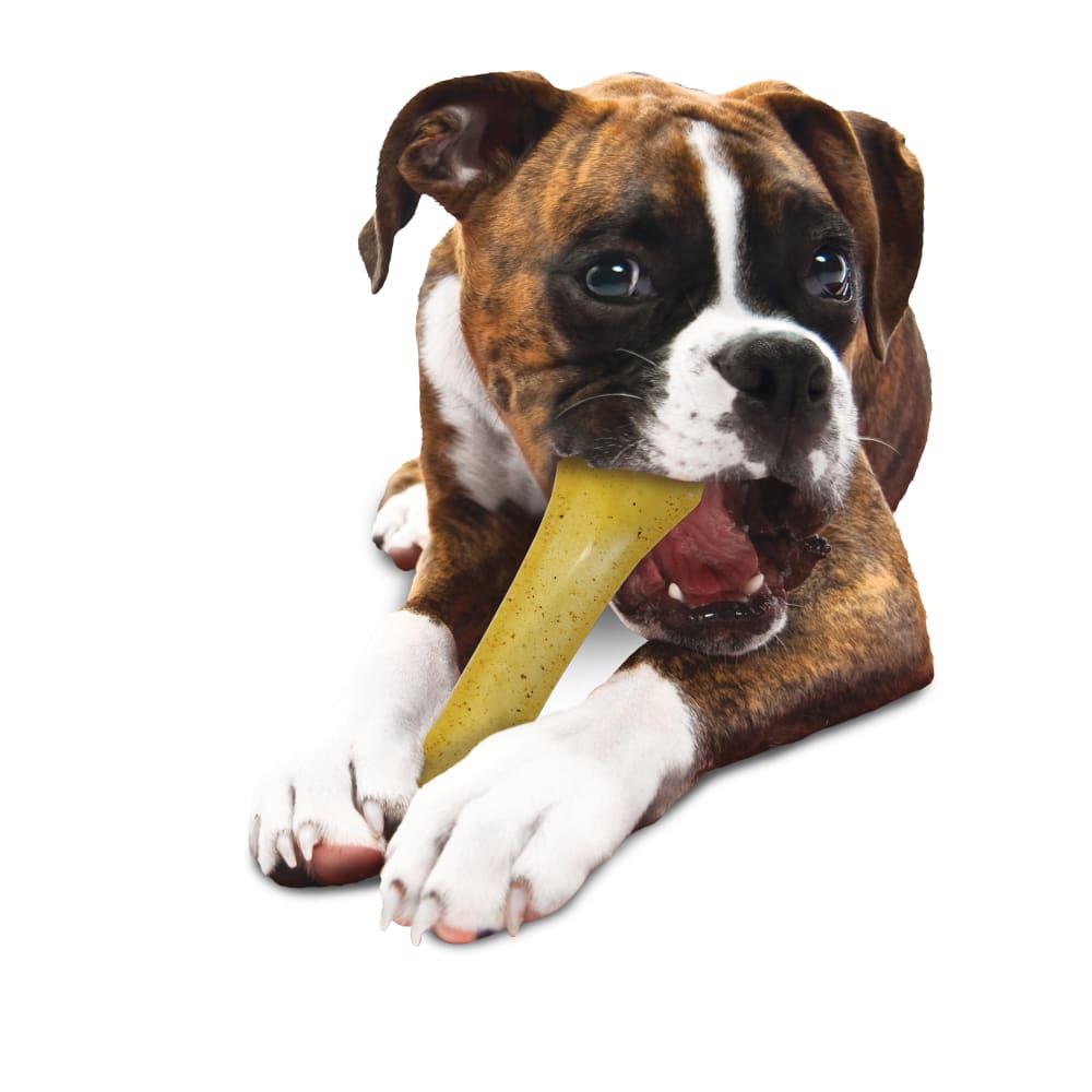 Nylabone Flexi Knuckle Bone Flexi Chew® Toys  USA |  STINB-6230