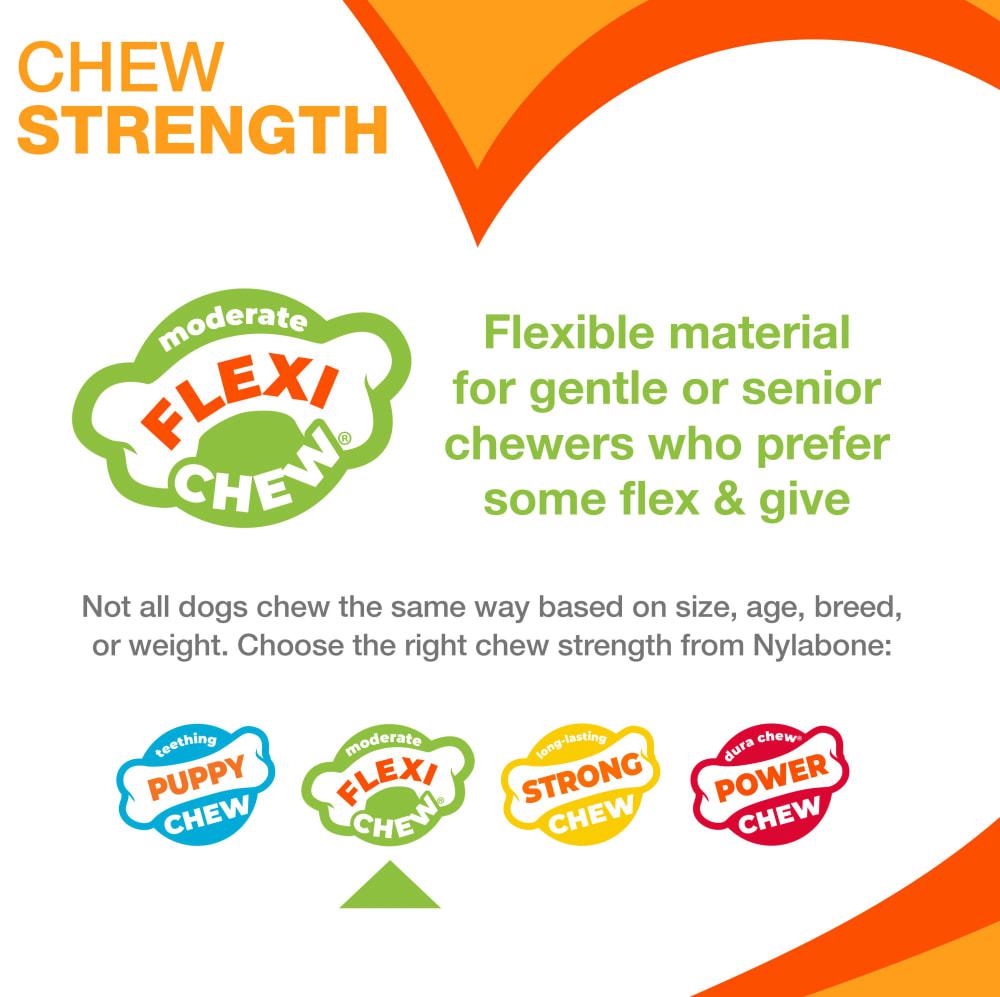 Nylabone Flexi Knuckle Bone Flexi Chew® Toys  USA |  STINB-6230