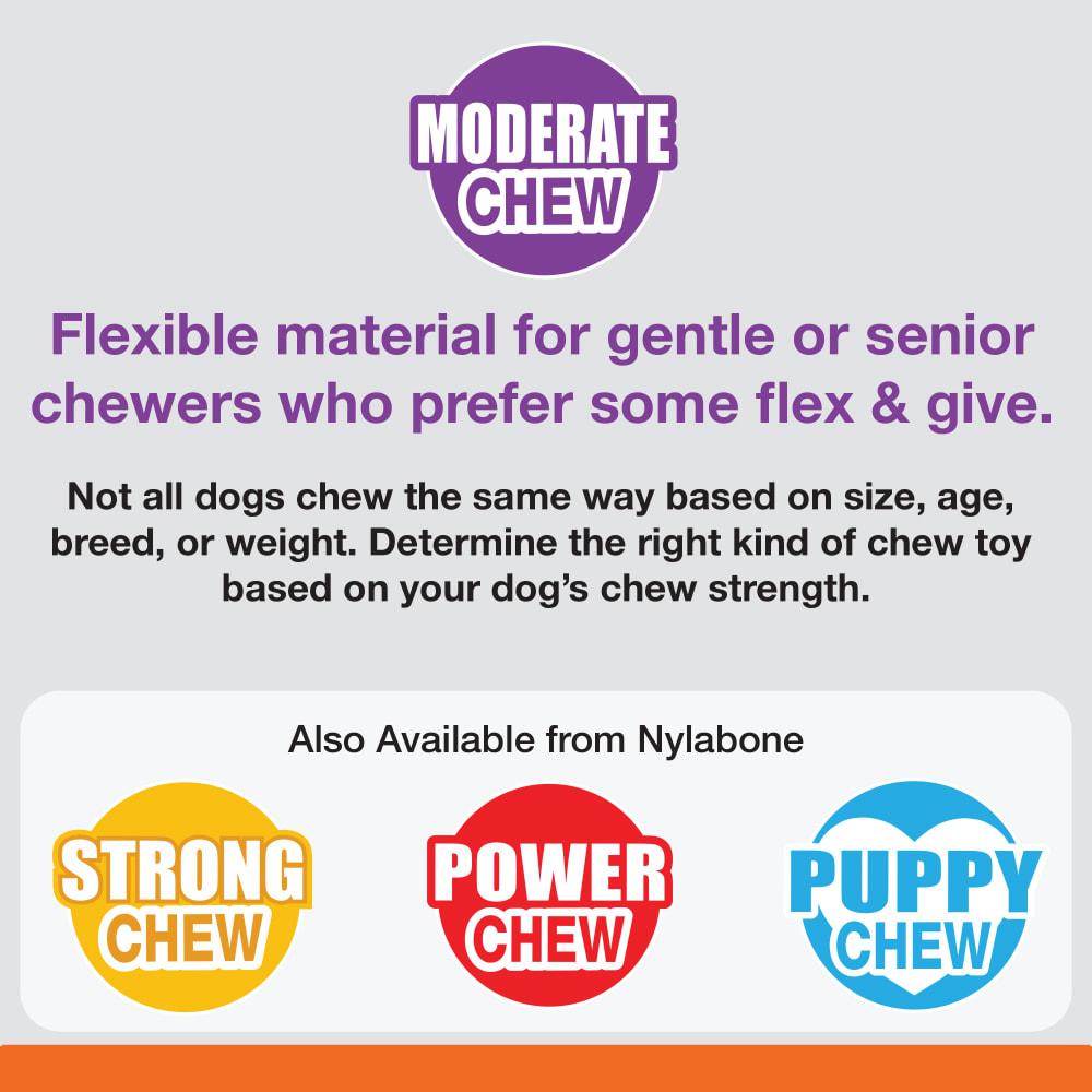 Nylabone Flexi Oval Ring Flexi Chew® Toys  USA |  TVYZO-5286