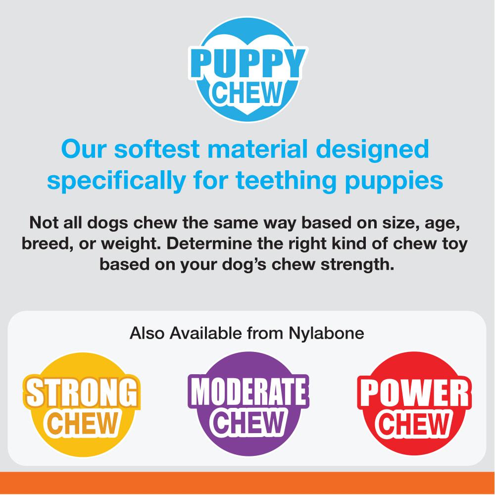 Nylabone Freezer Bone Puppy Chew Toys  USA |  ISNOL-9264