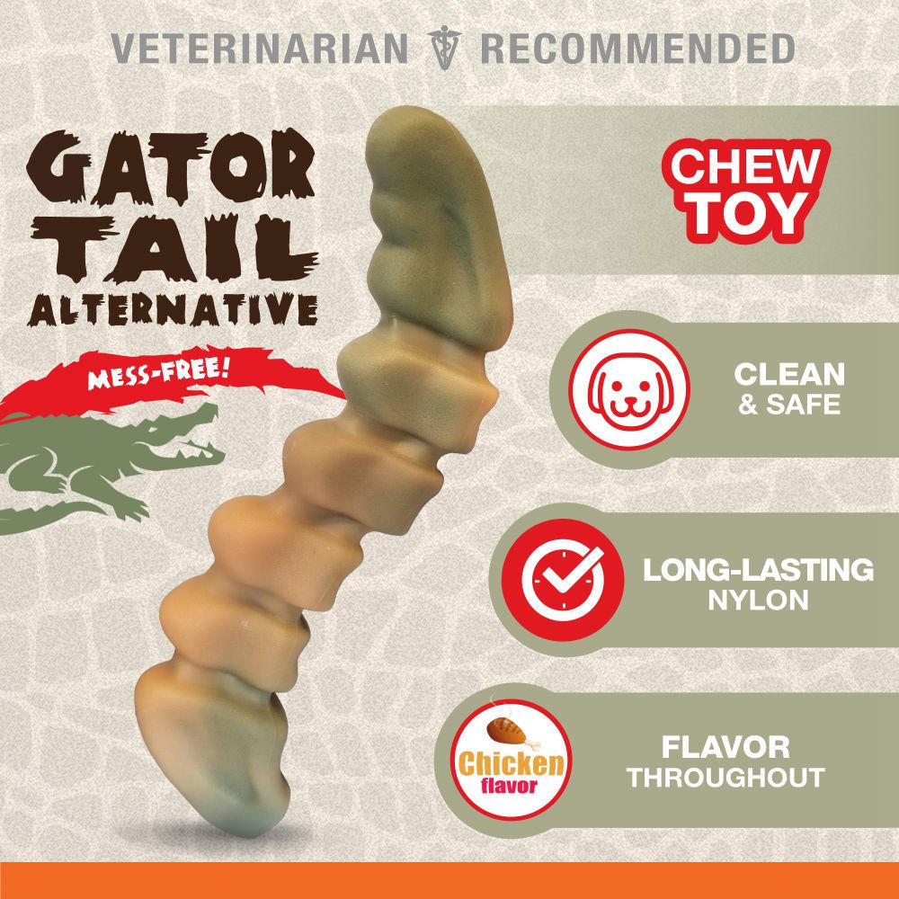 Nylabone Gator Tail Alternative Power Chew Toys  USA |  NSZVB-2753