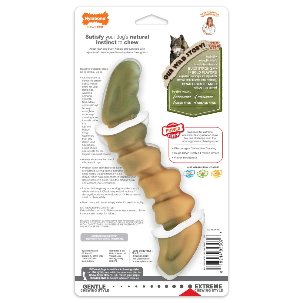 Nylabone Gator Tail Alternative Power Chew Toys  USA |  NSZVB-2753