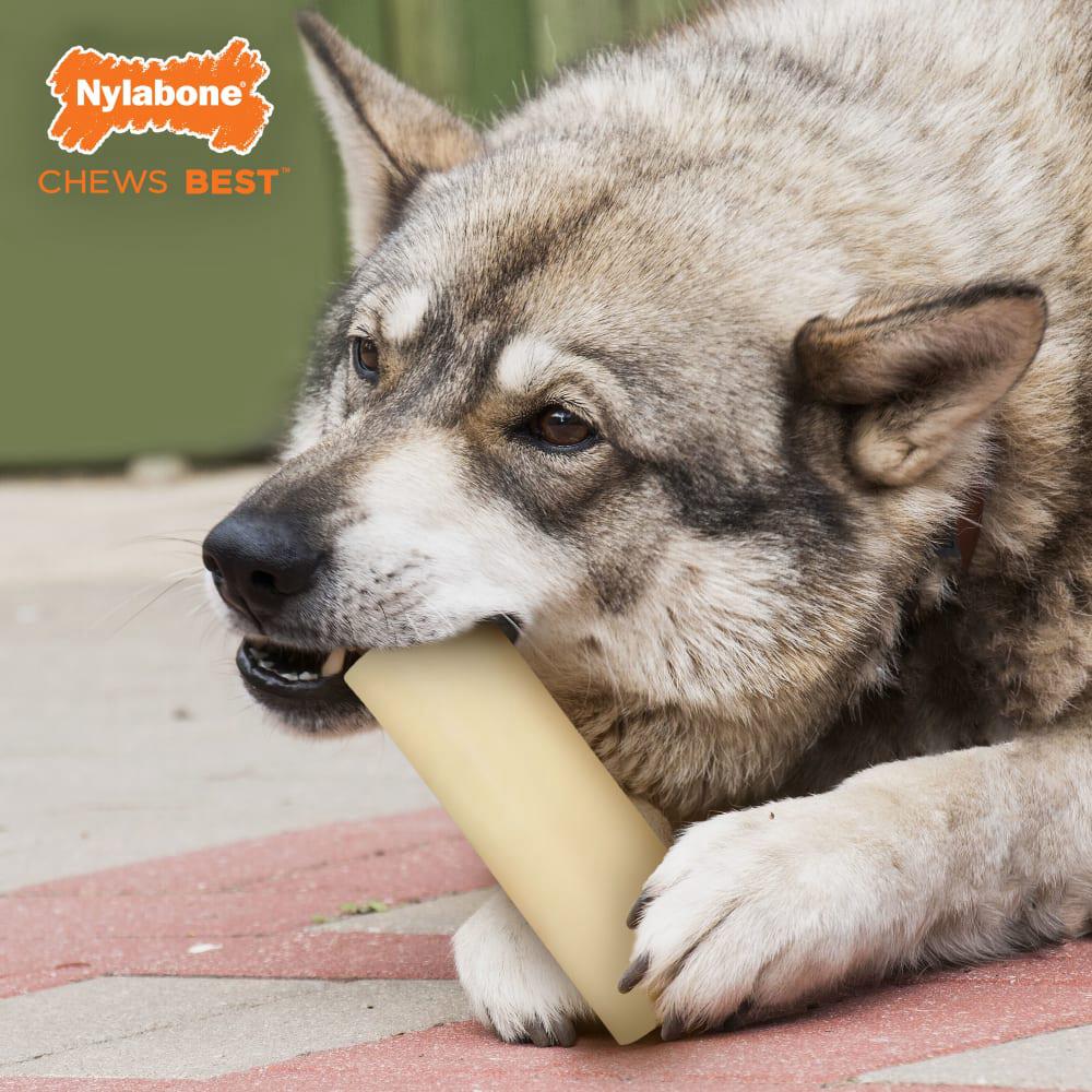 Nylabone Giant Marrow Bone Alternative Beef Flavor Power Chew Toys  USA |  LWIFP-7936